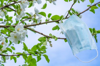 Koronavirüs salgınından dolayı karantinanın sonunun sembolü olarak çiçek açan bir dala koruyucu bir maske asılır.