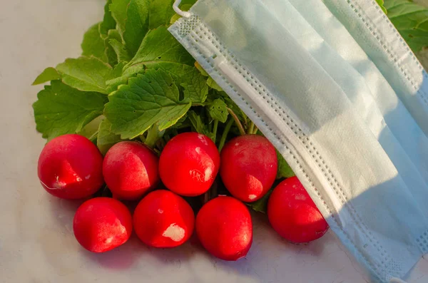 Fresh red vegetables radishes under a medical mask. Summer Flat lay. The concept of healthy nutrition and virus protection. Eat vegetables and be healthy.