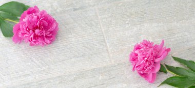 Beyaz masadaki güzel pembe şakayık çiçekleri ve metin için kopyalama alanı. En iyi manzara ve düz konsept romantizm. Pankart.