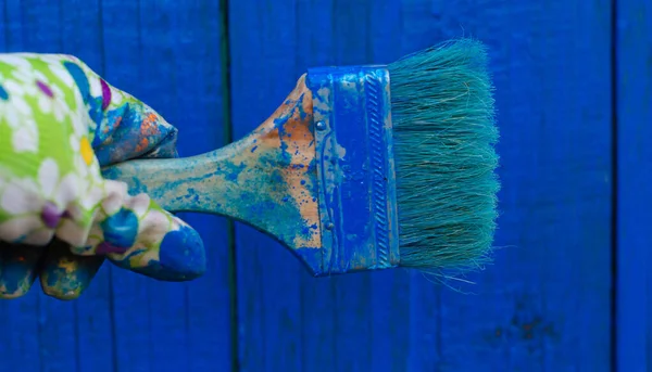 Gloved hand holding a brush against a blue wooden background with copy space. DIY home. Stock Picture