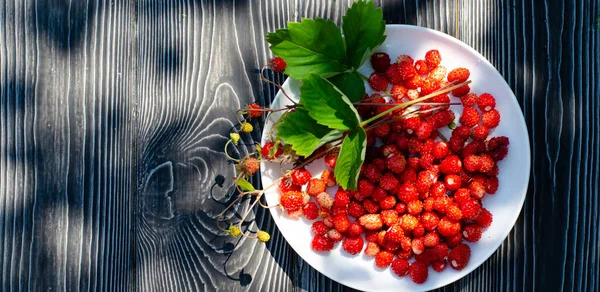 Wild ripe strawberries on a wooden rustic table with withe flowers. Bright shadows on a Sunny day on the terrace. — Stock Photo, Image