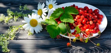 Ağaçtan kırsal bir masada çiçekli yabani olgun çilekler. Terasta güneşli bir günde parlak gölgeler.