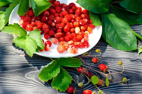 Wild ripe strawberries on a wooden rustic table with withe flowers. Bright shadows on a Sunny day on the terrace. — Stock Photo, Image