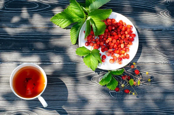 木製のテーブルとお茶のカップに野生の熟したイチゴ。テラスでの晴れた日の明るい影. — ストック写真