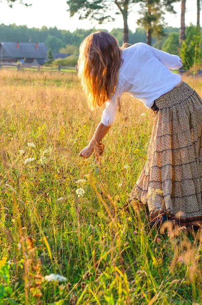 Красивая романтичная женщина в белой блузке и длинной юбке с цветами на руках против сельских пейзажей на закате. — стоковое фото
