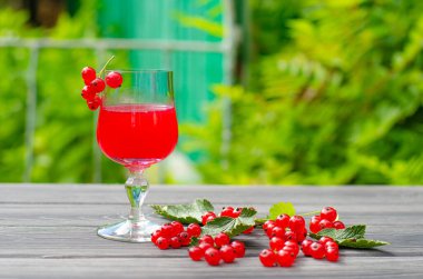 Taze kırmızı üzümlü içecek ve yeşil bahçedeki ahşap masada sulu böğürtlen..