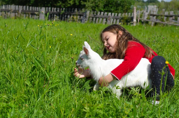 Chica con el pelo largo en un prado con hierba verde y una pequeña cabra blanca. Pueblo, granja, concepto rural. — Foto de Stock