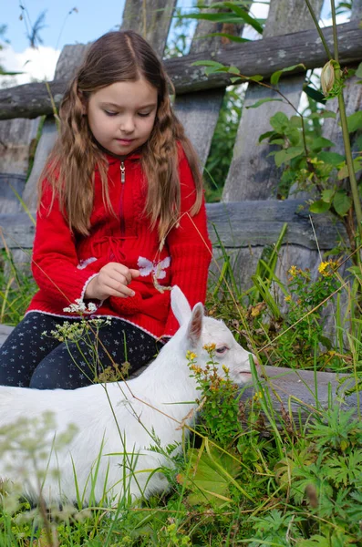 Chica con el pelo largo en un prado con hierba verde y una pequeña cabra blanca. Pueblo, granja, concepto rural. — Foto de Stock