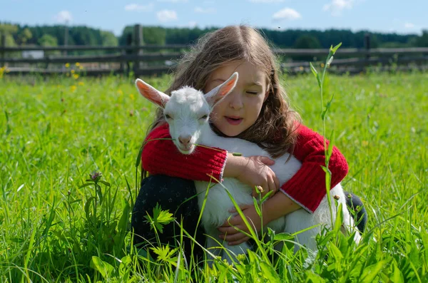 Chica con el pelo largo en un prado con hierba verde y una pequeña cabra blanca. Pueblo, granja, concepto rural. — Foto de Stock
