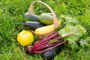 Kabak hasadı, sarı balkabağı, güneşli bir günde sepetin içine yerleştirilmiş yeşillik pancar..