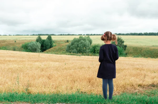 Niña de pie en un campo de trigo y mirando a la distancia. —  Fotos de Stock