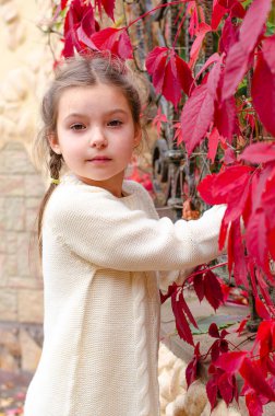 Bir sonbahar parkında kırmızı üzümlü bir duvarın yanında duran küçük kız..