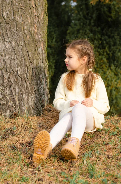Девочка сидит под сосной на осенней поляне и играет с конусами. Яркий солнечный день. Осенний сезон. — стоковое фото
