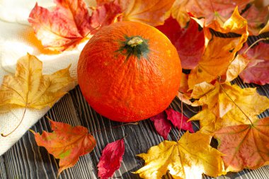 Turuncu balkabağı ve sonbahar sarı akçaağaç yaprakları ahşap bir masada. Cadılar Bayramı ve yeni hasat konsepti.