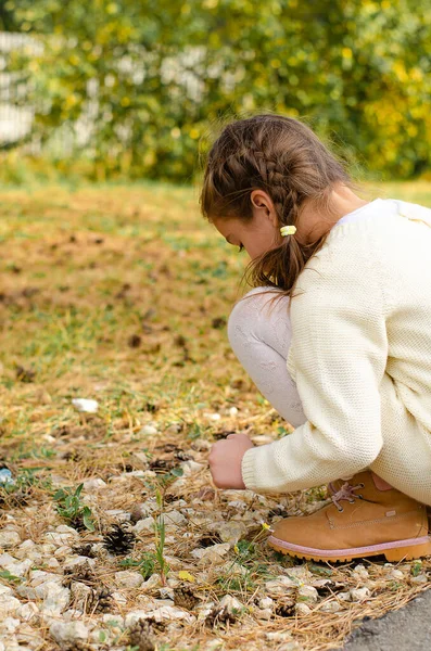 Маленькая девочка собирает листья, сидя на корточках у тропинки. Осенние желтые листья на тротуаре. — стоковое фото