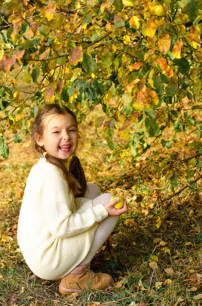 Child girl in a white knitted dress picks up fallen apples. Autumn harvest concept. — Stock Photo, Image