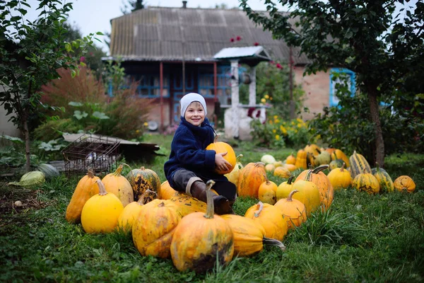 Jongen zit op een stapel van pompoenen en glimlachen — Stockfoto