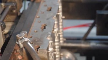 Plastik şişe üretimi için bitki