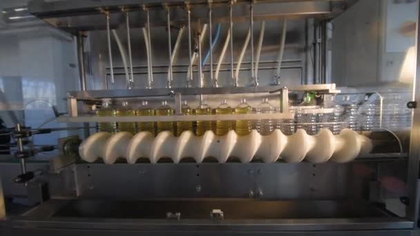 Sunflower oil. Line for the production and bottling of refined oil from sunflower seeds. — Stock Video