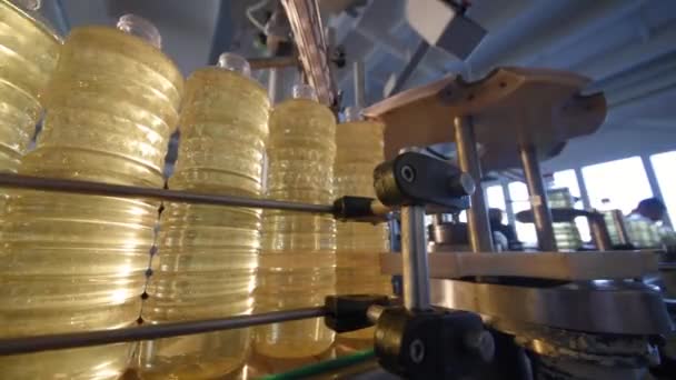 Una fabbrica per la produzione di olio di girasole . — Video Stock