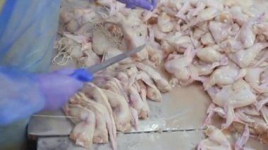 Gıda sektöründe tavuk işlemek için bitki