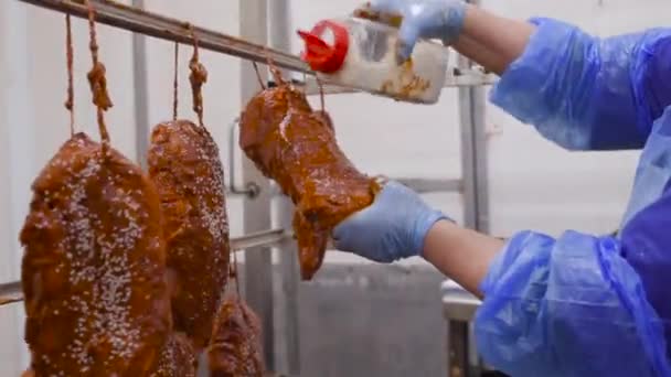Výroba masných pochoutek z vepřového a hovězího masa. Studený losos v marinádě papriky posypeme sezamovými semínky. — Stock video
