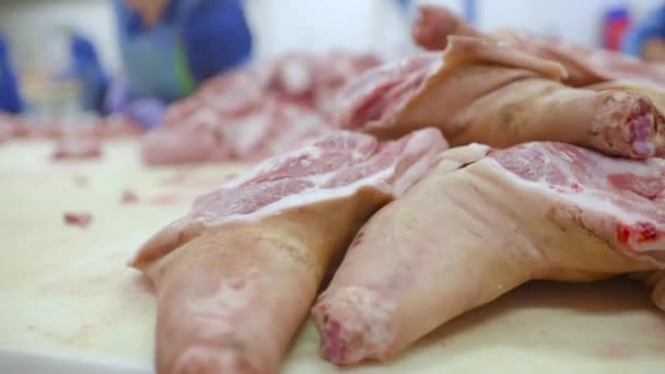 Carniceros cortando carne de cerdo en una fábrica de carne . — Vídeos de Stock