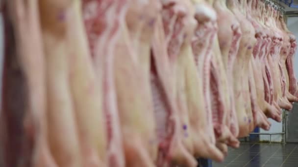 Taglio Lavorazione Della Carne Carcasse Suino Sullo Sfondo Impianto Confezionamento — Video Stock