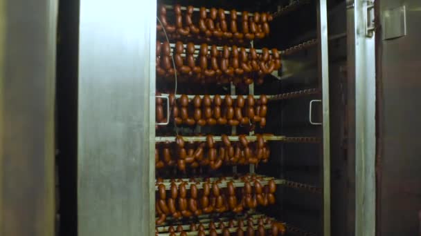 Копченая колбаса в коптильне — стоковое видео