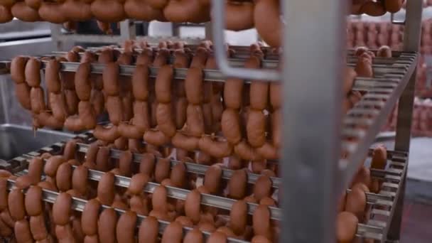Food production of sausages — Stock Video