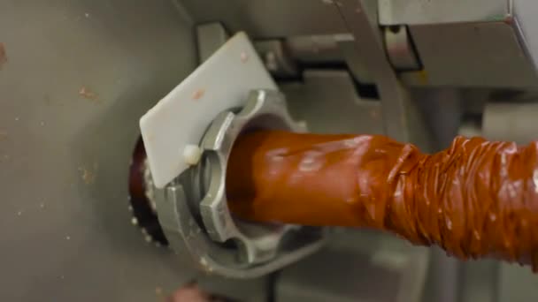 Der Produktionsprozess der industriellen Wurst in der Fleischfabrik. — Stockvideo