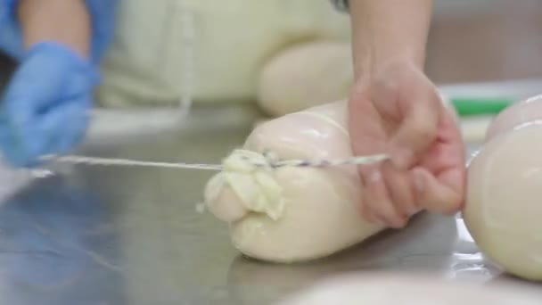 Linha Produção Salsichas Processo Produção Salsichas Industriais Fábrica Carne — Vídeo de Stock