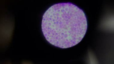 belsoğukluğu mikroskop aracılığıyla bir molekül