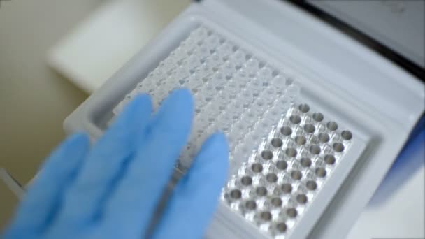 DNS-vizsgálatok laboratóriumi diagnosztikai készülékek — Stock videók