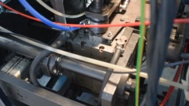 Plastik şişe üretimi için bitki
