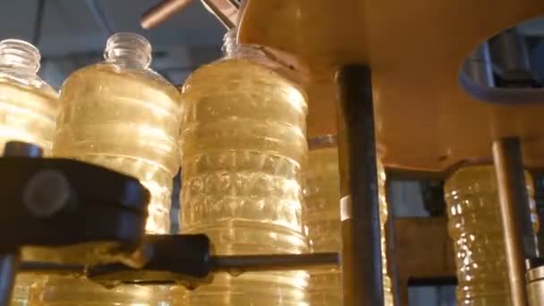 Una fábrica para la producción de aceite de girasol . — Vídeo de stock