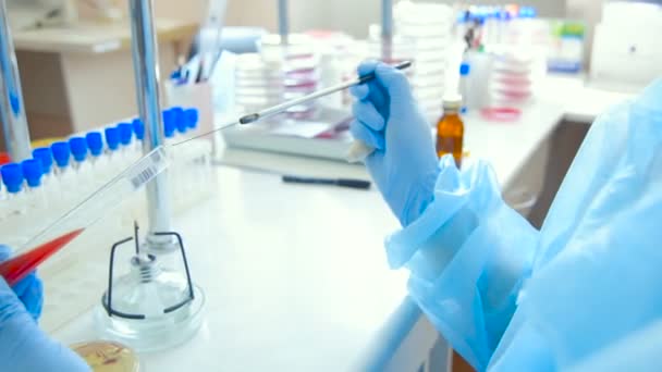 A laboratory scientist with a dispenser in his hands conducts experience or analyzes — Stock Video