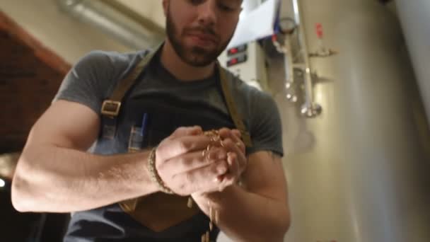 Брюер з солоду на тлі пивоварний завод — стокове відео