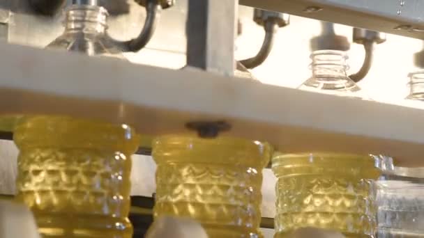 Eine Fabrik für die Produktion von Sonnenblumenöl. — Stockvideo