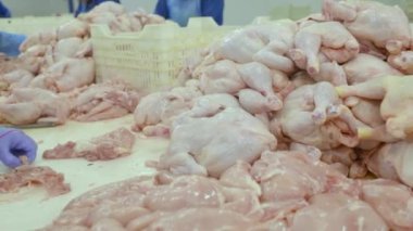 Tavukçuluk gıda sektöründe işleme