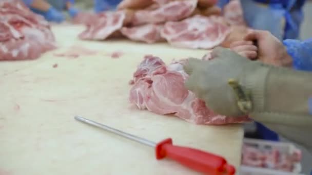 Bearbetning av kött på en kött-packning anläggning. Livsmedelsindustrin — Stockvideo