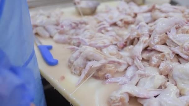 Завод по переработке птицы в пищевой промышленности — стоковое видео