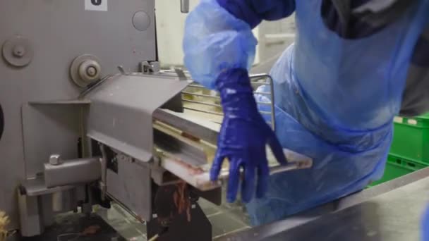 Proces produkcji przemysłowej kiełbas w fabryce mięsa. — Wideo stockowe
