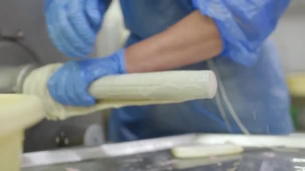L'usine de saucisses au congélateur. Produits de viande finis dans une grande usine alimentaire . — Video