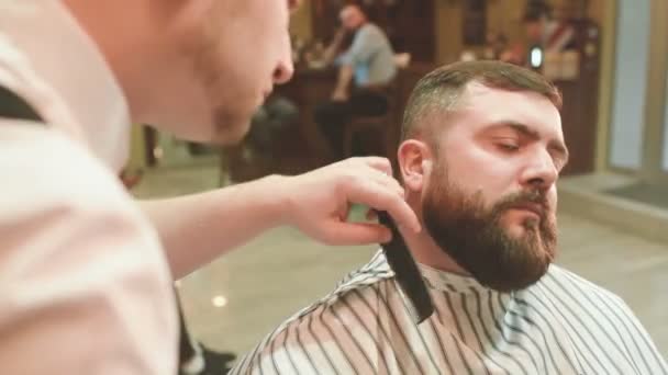 Парикмахер делает порез или укладку бороды — стоковое видео