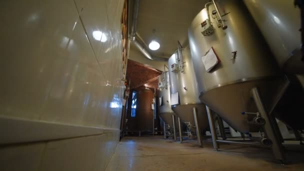 El cervecero en el fondo de los tanques de cerveza hace cálculos — Vídeos de Stock