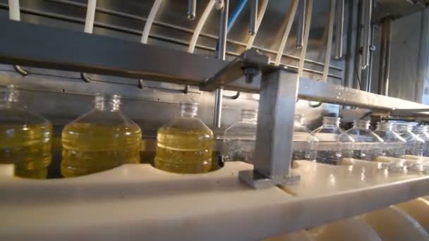 Una fabbrica per la produzione di olio di girasole . — Video Stock