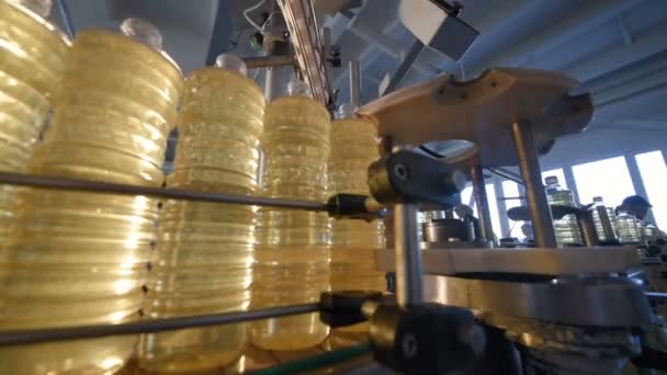 Uma fábrica para a produção de óleo de girassol . — Vídeo de Stock