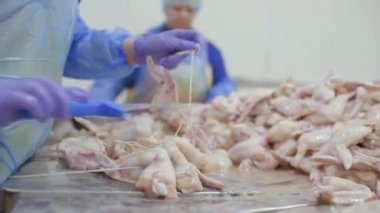 Gıda sektöründe tavuk işlemek için bitki