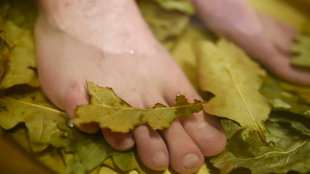 Mens pés em um banho de pedicure com folhas de carvalho — Vídeo de Stock